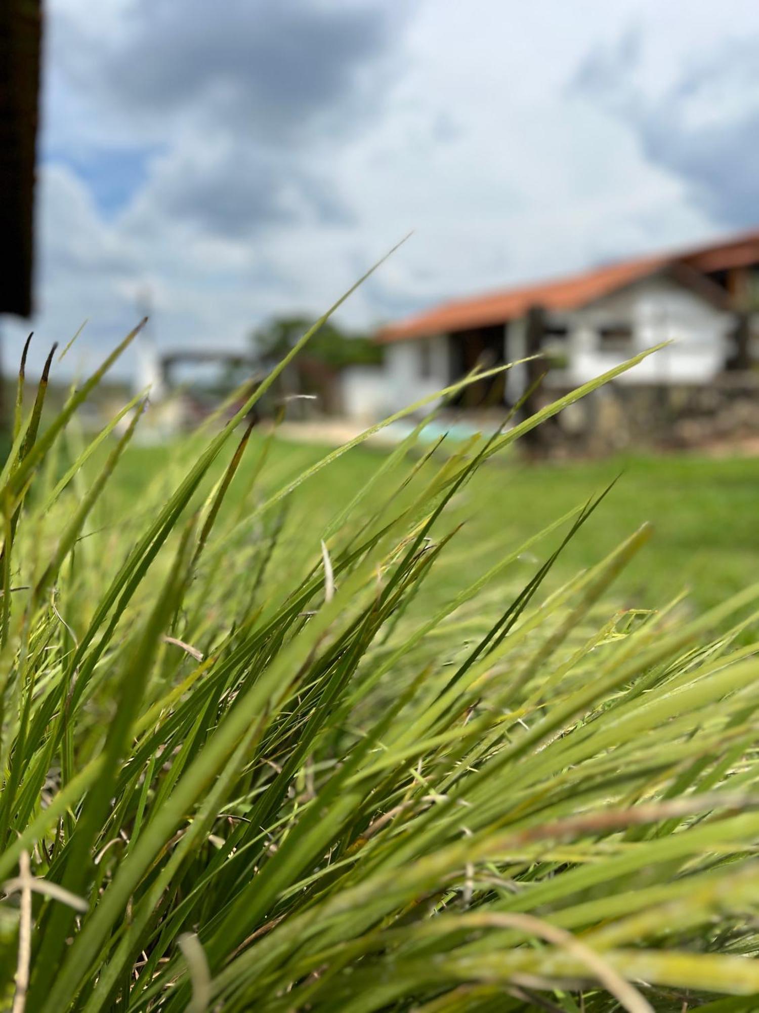 Fazenda Do Engenho Hotel Santa Rita do Rio Abaixo Екстериор снимка