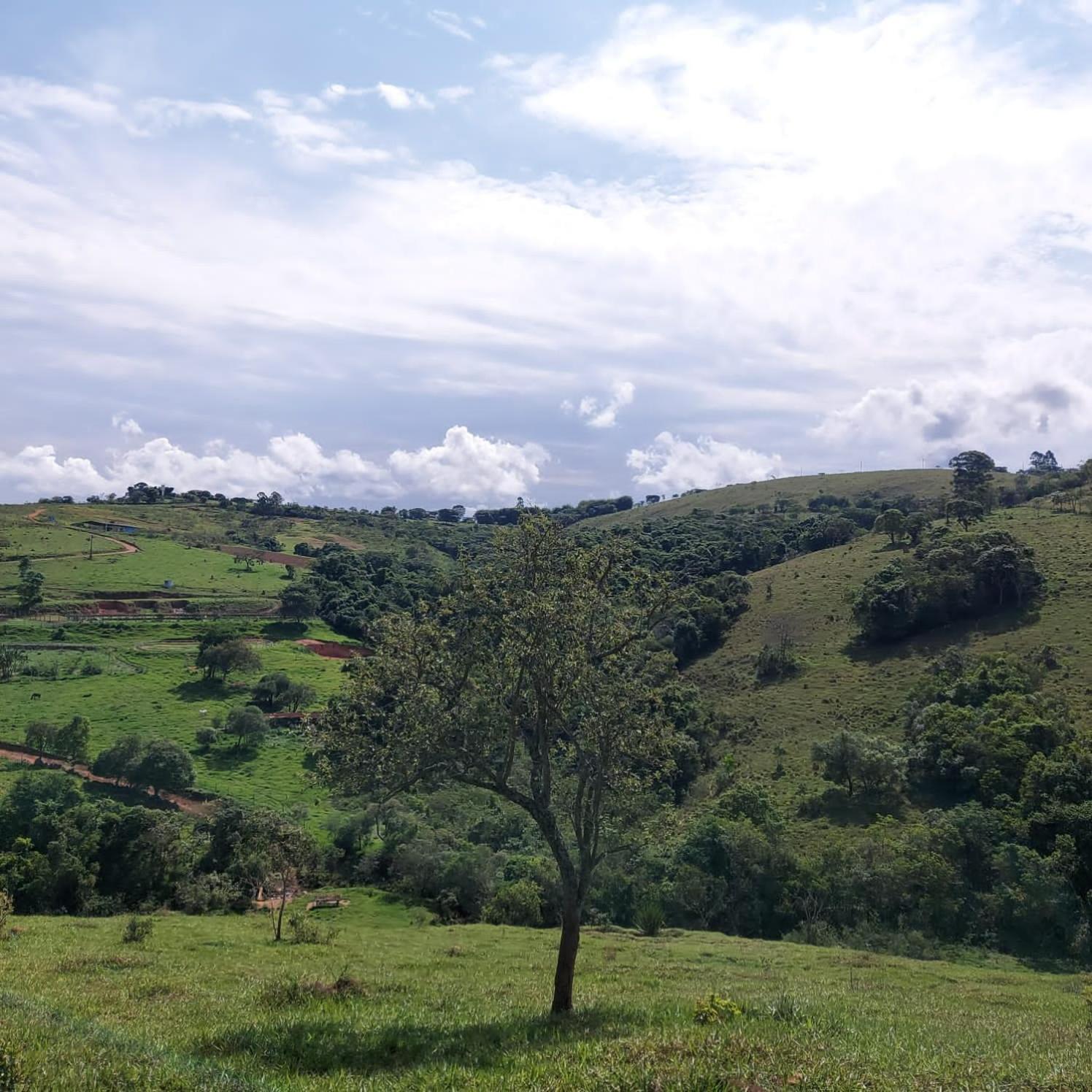 Fazenda Do Engenho Hotel Santa Rita do Rio Abaixo Екстериор снимка