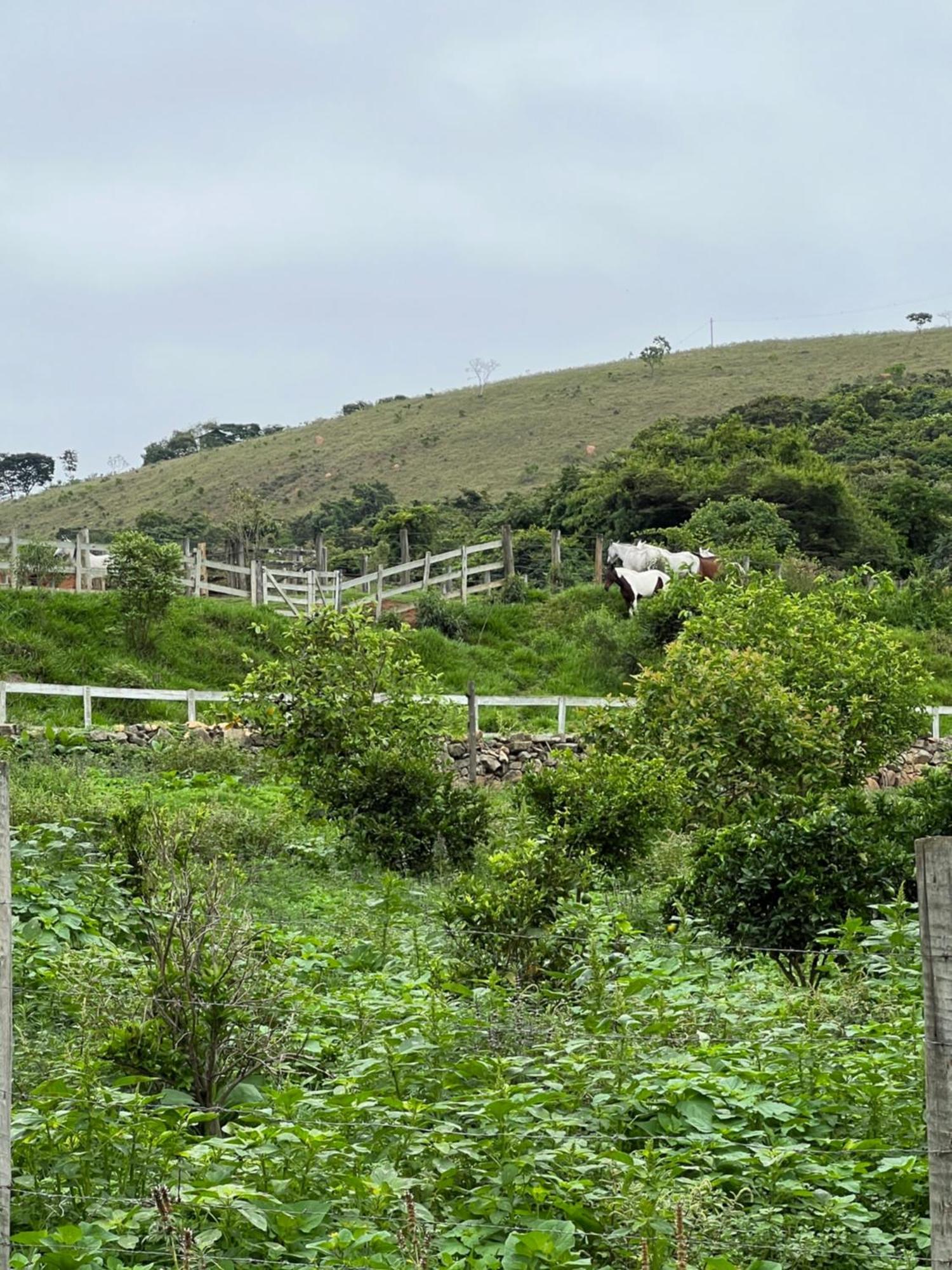 Fazenda Do Engenho Hotel Santa Rita do Rio Abaixo Екстериор снимка