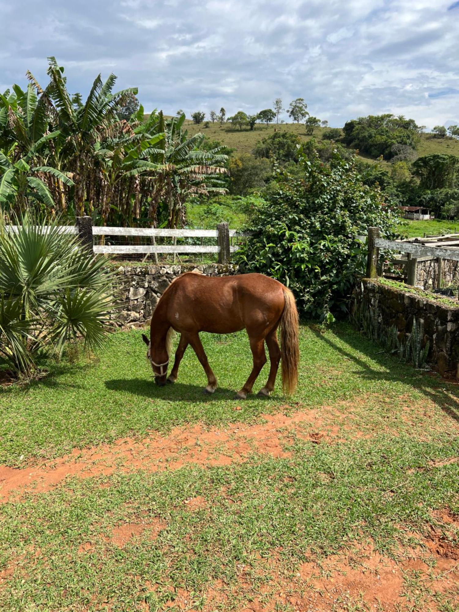 Fazenda Do Engenho Hotel Santa Rita do Rio Abaixo Екстериор снимка