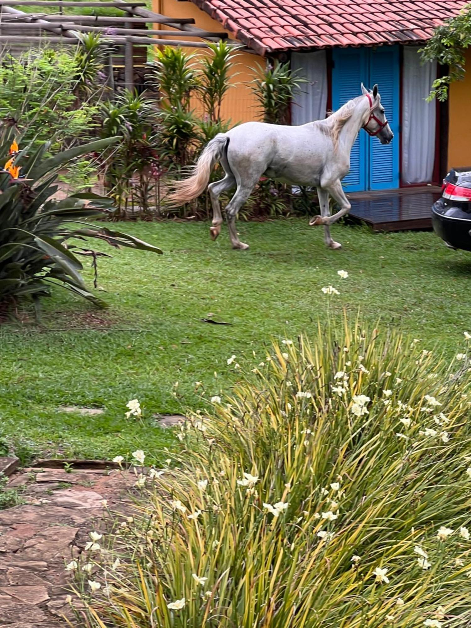 Fazenda Do Engenho Hotel Santa Rita do Rio Abaixo Екстериор снимка