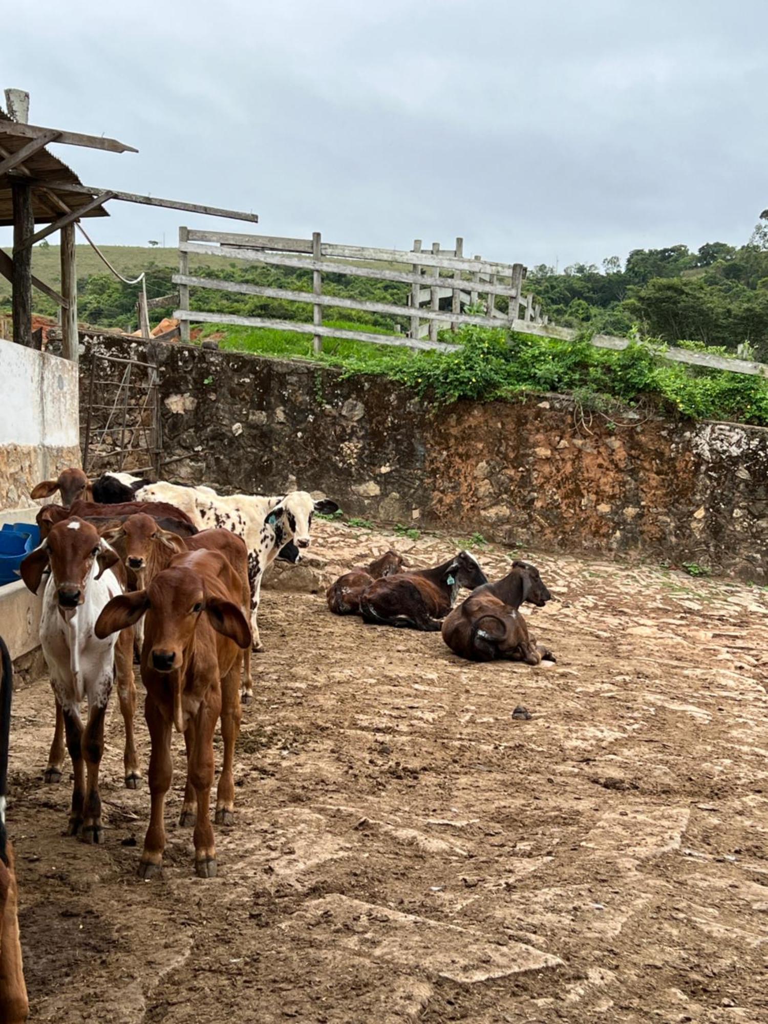 Fazenda Do Engenho Hotel Santa Rita do Rio Abaixo Екстериор снимка