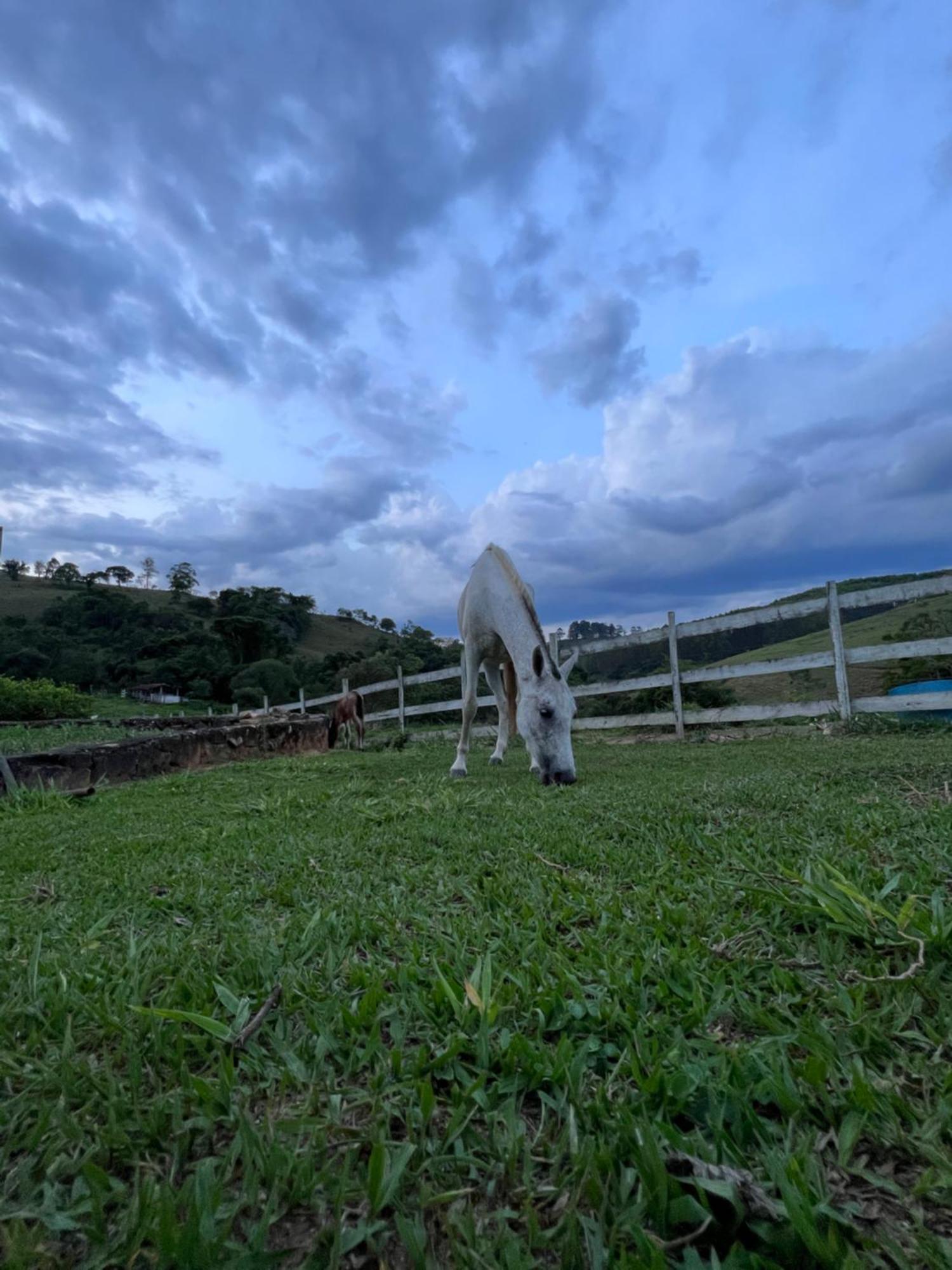 Fazenda Do Engenho Hotel Santa Rita do Rio Abaixo Екстериор снимка