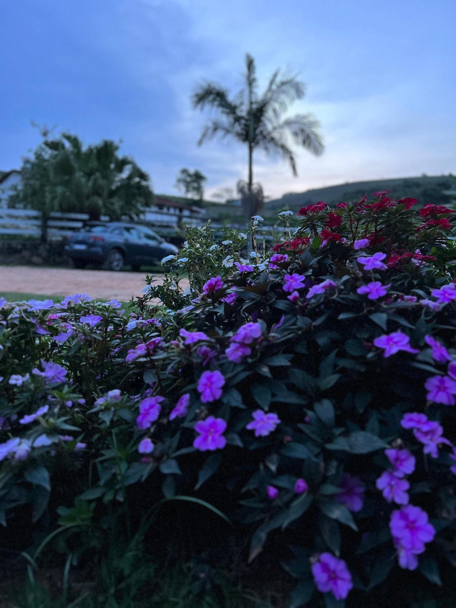 Fazenda Do Engenho Hotel Santa Rita do Rio Abaixo Екстериор снимка