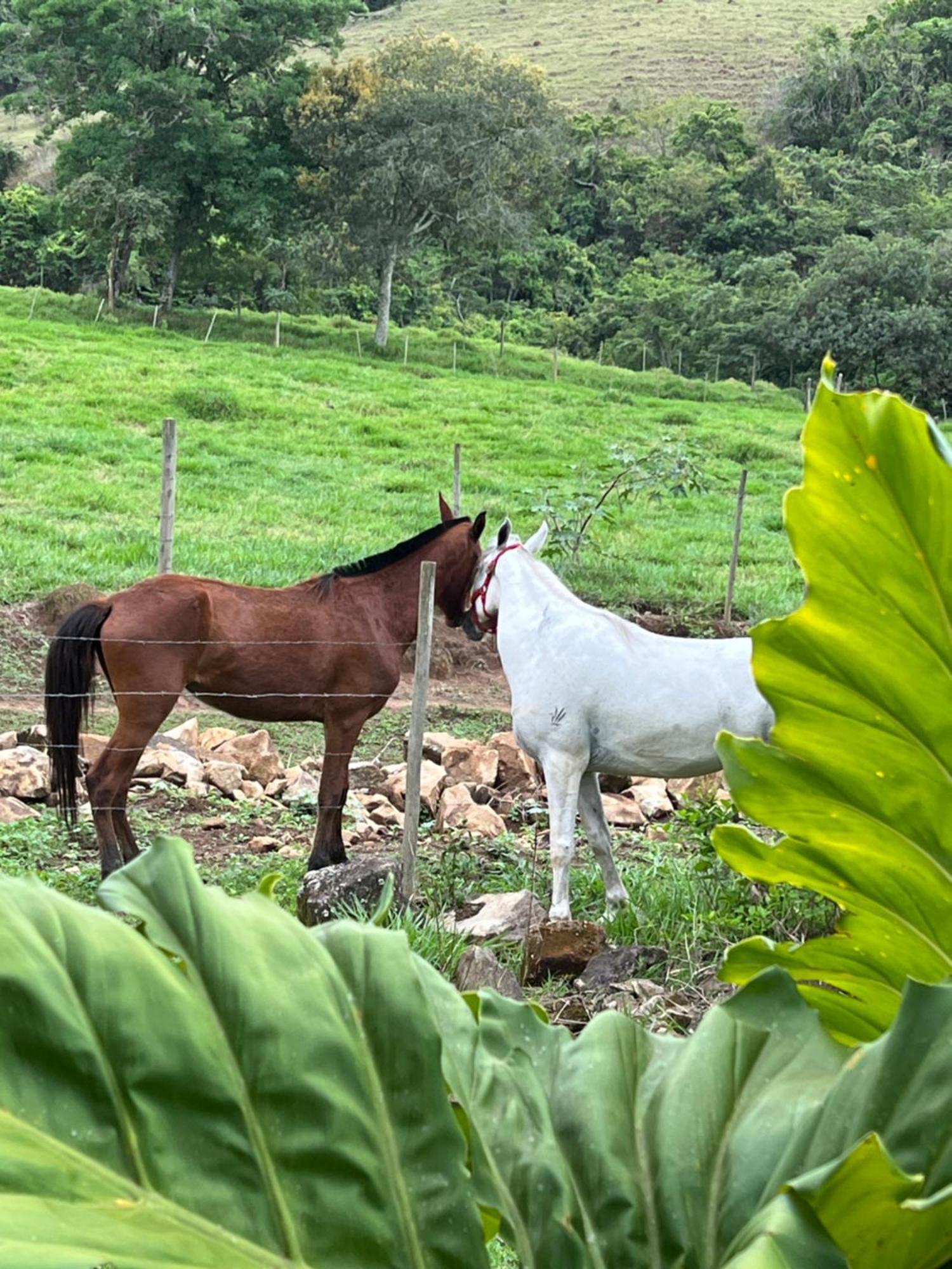 Fazenda Do Engenho Hotel Santa Rita do Rio Abaixo Екстериор снимка