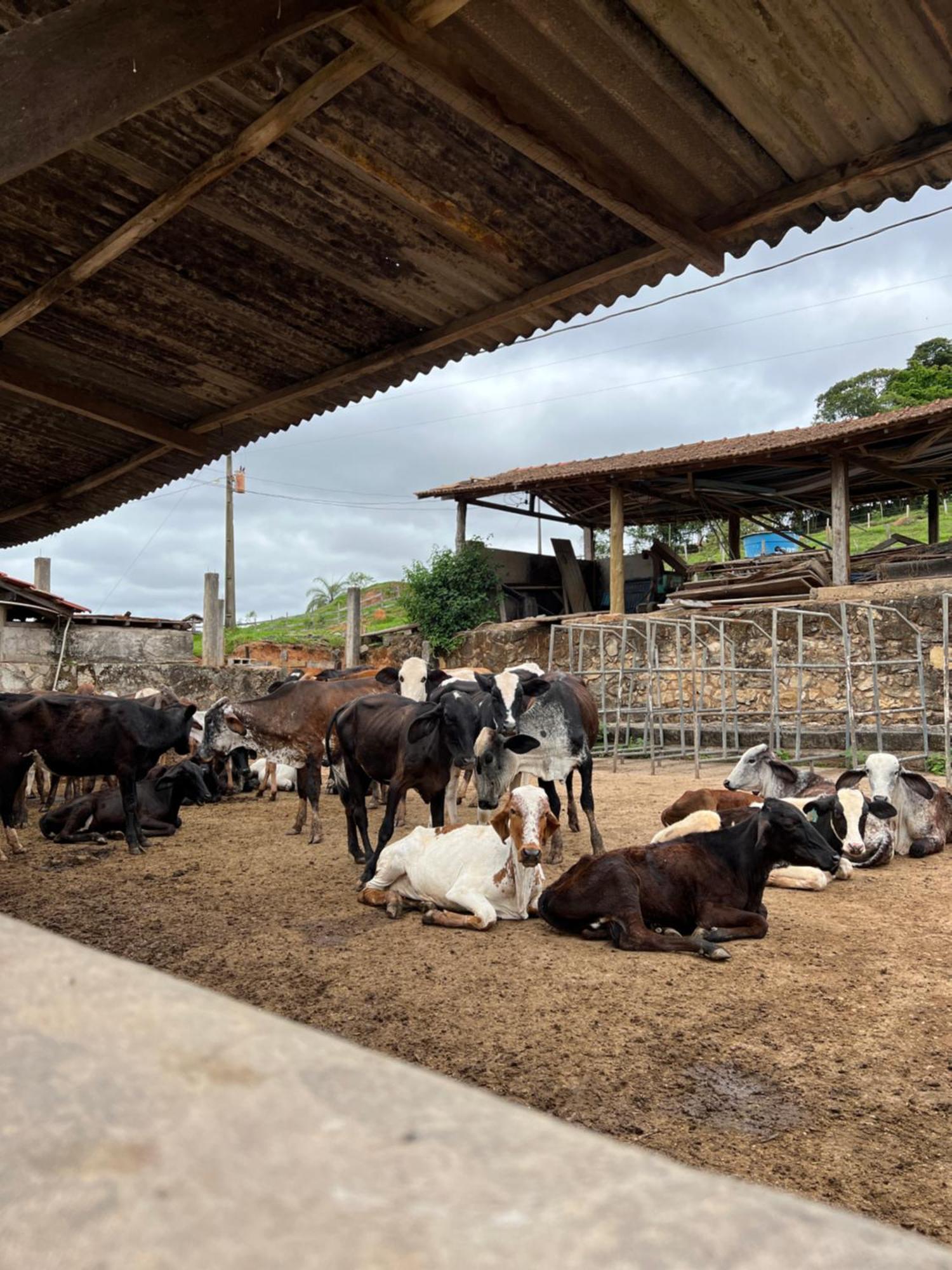Fazenda Do Engenho Hotel Santa Rita do Rio Abaixo Екстериор снимка